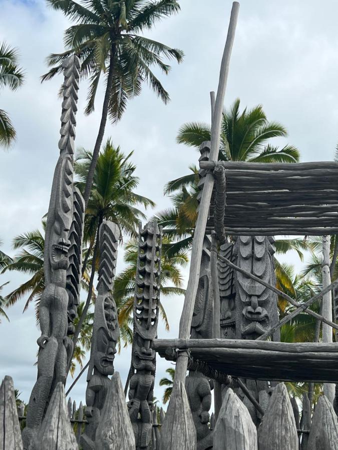 Ocean View Mauna Loa Shores Kai Ekahi #201 Next To Carlsmith Beach Park Hilo Hi المظهر الخارجي الصورة