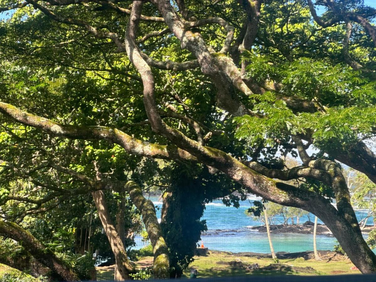Ocean View Mauna Loa Shores Kai Ekahi #201 Next To Carlsmith Beach Park Hilo Hi المظهر الخارجي الصورة
