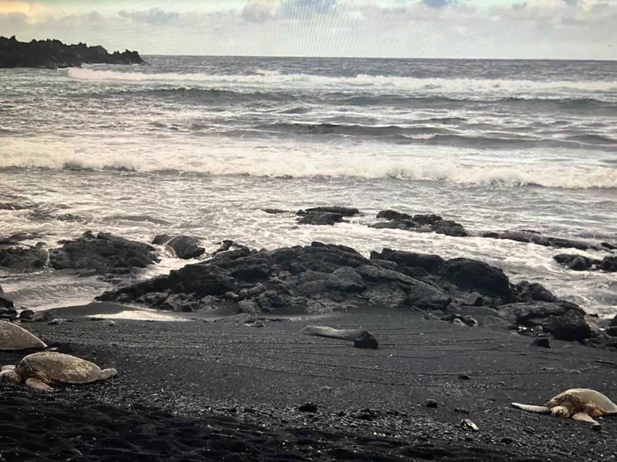 Ocean View Mauna Loa Shores Kai Ekahi #201 Next To Carlsmith Beach Park Hilo Hi المظهر الخارجي الصورة