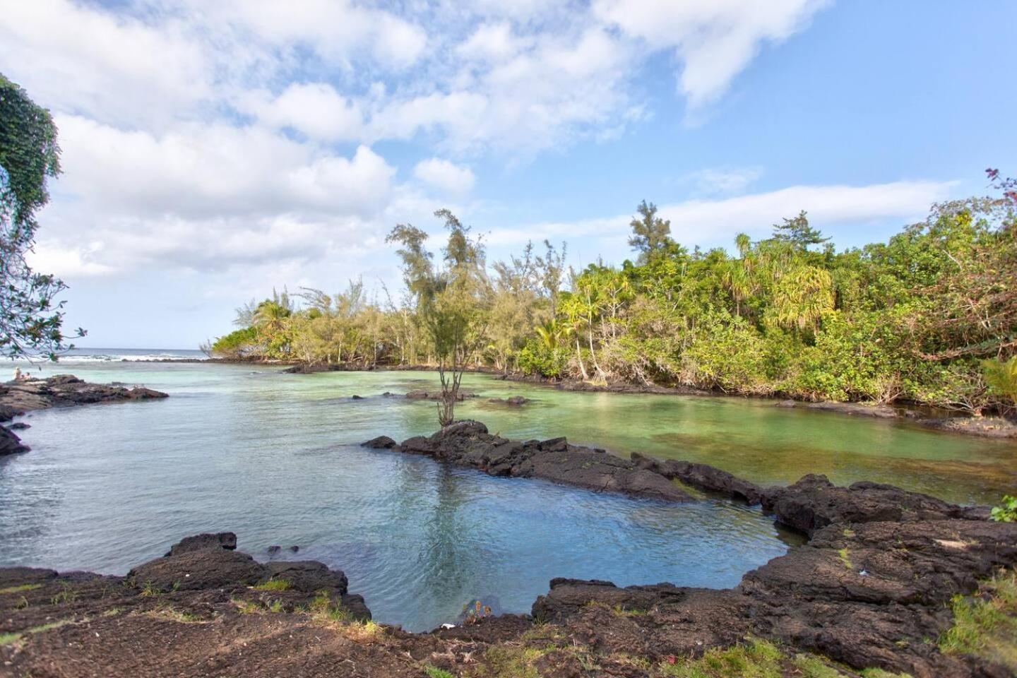 Ocean View Mauna Loa Shores Kai Ekahi #201 Next To Carlsmith Beach Park Hilo Hi المظهر الخارجي الصورة