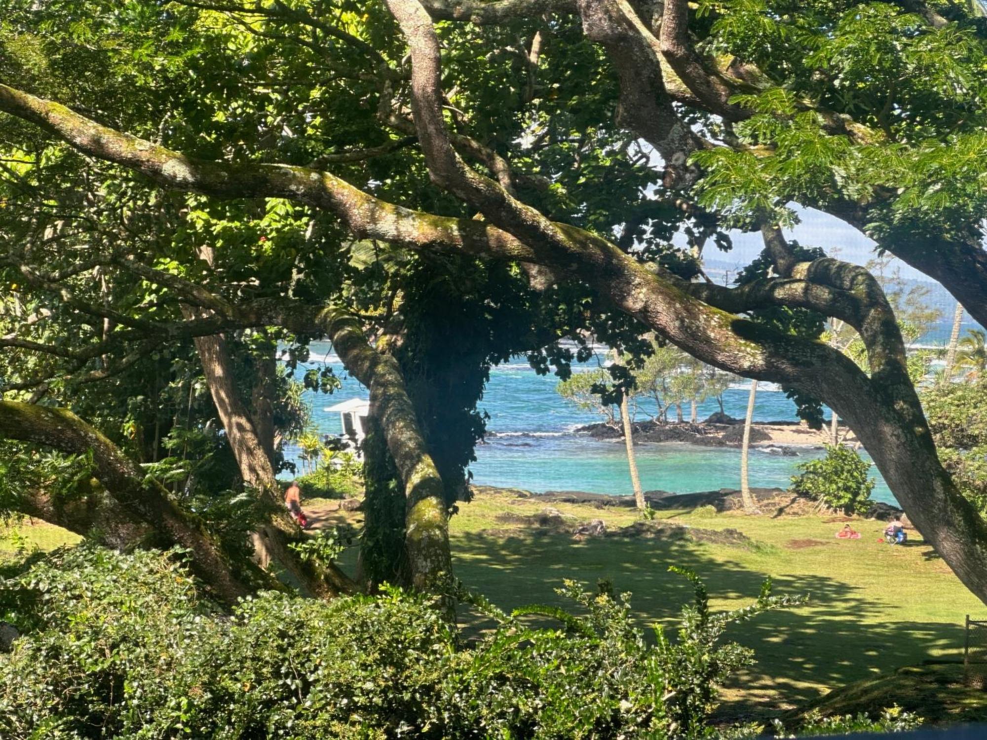 Ocean View Mauna Loa Shores Kai Ekahi #201 Next To Carlsmith Beach Park Hilo Hi المظهر الخارجي الصورة